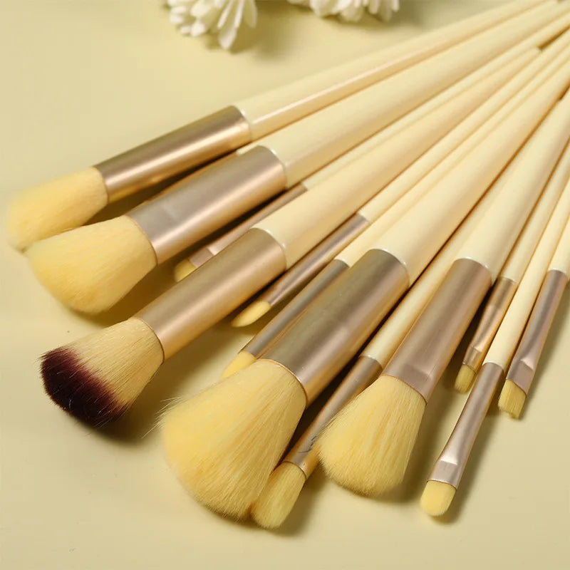 13 Pcs Makeup Brushes Set